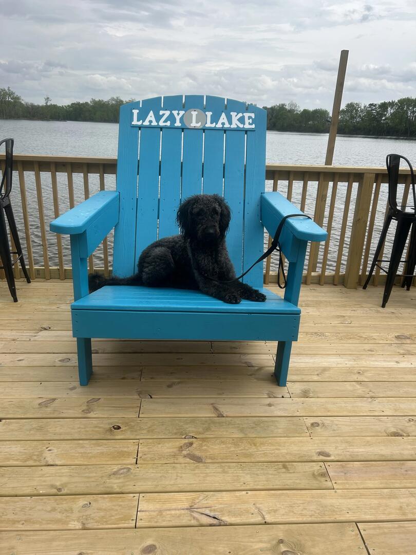 Lakeside view from the hut area at Lazy L Lake Campground