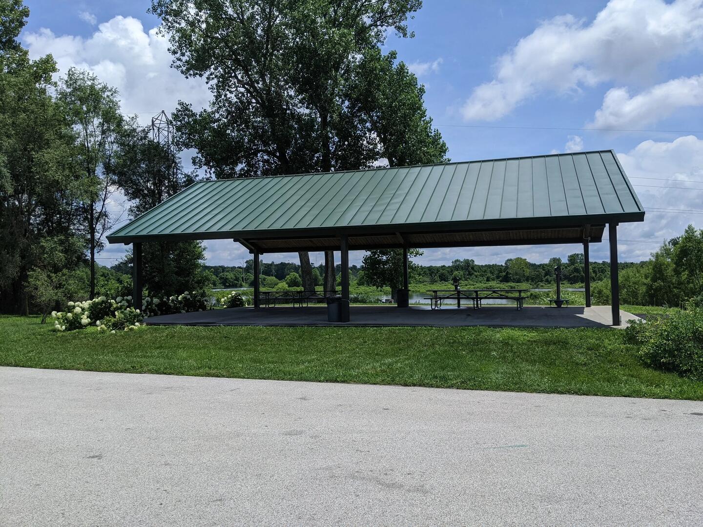 Nature and bird watching at Wabashiki trails